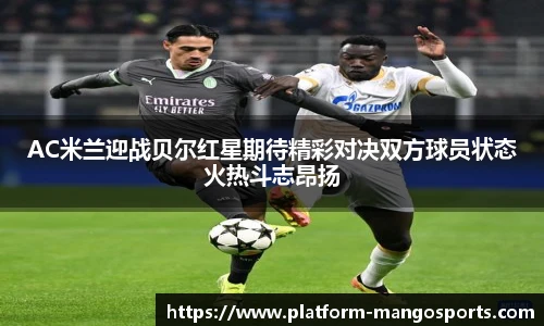 AC米兰迎战贝尔红星期待精彩对决双方球员状态火热斗志昂扬