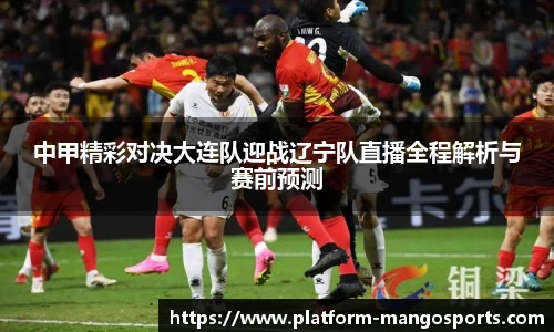 中甲精彩对决大连队迎战辽宁队直播全程解析与赛前预测